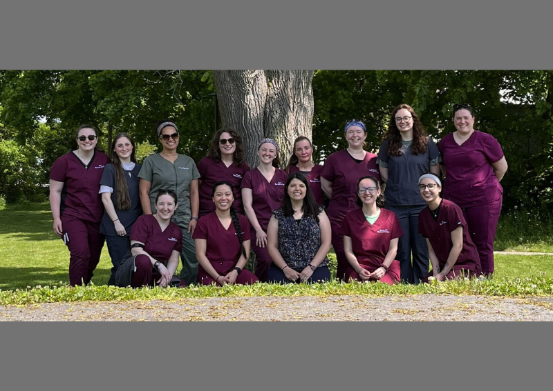 Carousel Slide 2: Meet Our Team